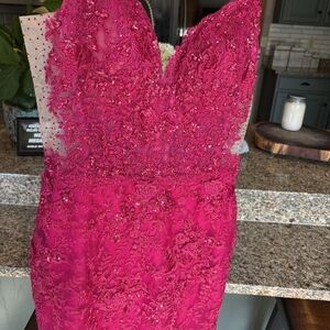 Elegant Fuscia Lace Dress